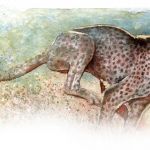 GEPARD_Aquarell